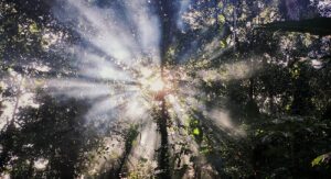 Engaging Faith Leaders to Help Maximize Your Community Foundation’s Impact
