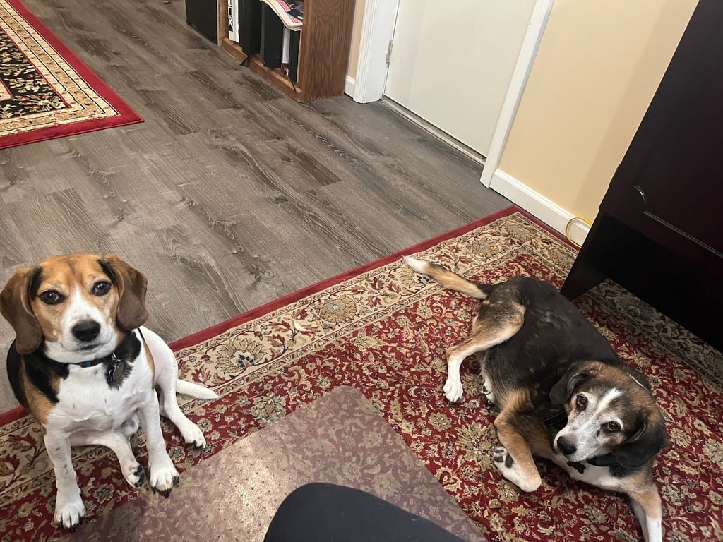 Charlie and Stanley